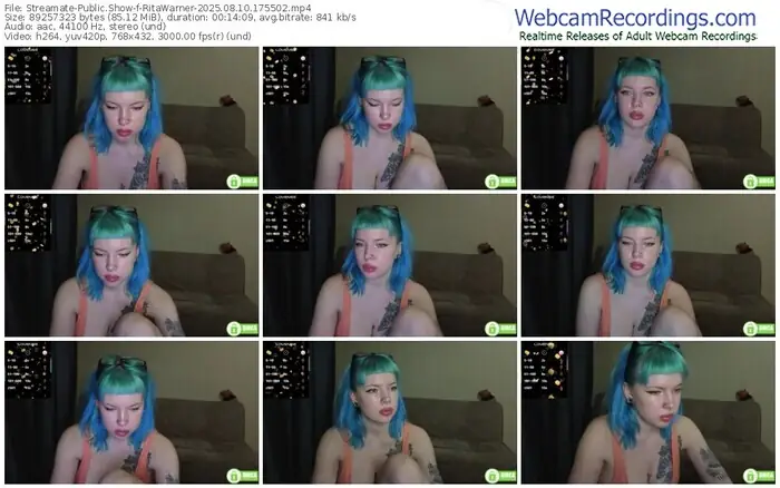 2025/08/10/streamate-ritawarner-17-55-02