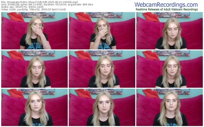2025/08/10/streamate-sofysoft-16-04-06