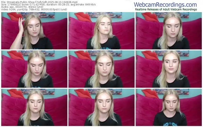 2025/08/10/streamate-sofysoft-16-48-28
