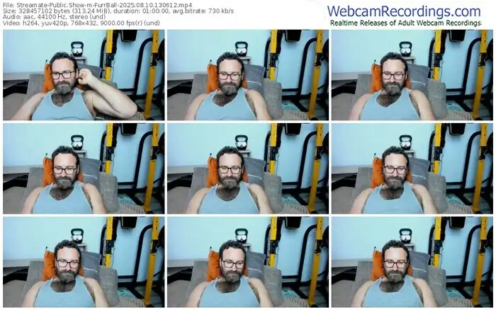 2025/08/10/streamate-furrball-13-06-12