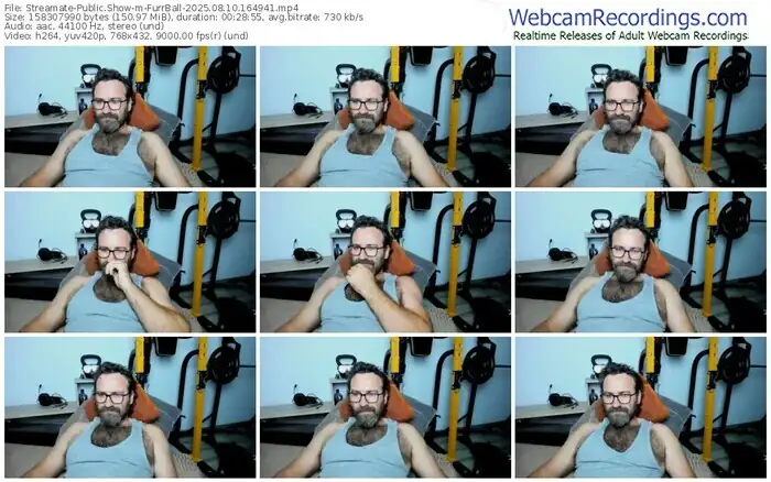 2025/08/10/streamate-furrball-16-49-41