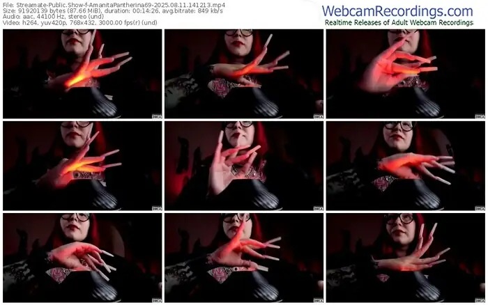 2025/08/11/streamate-amanitapantherina69-14-12-13