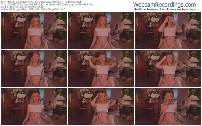 2025/08/11/streamate-bambifawn-04-08-29
