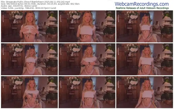2025/08/11/streamate-bambifawn-05-12-42