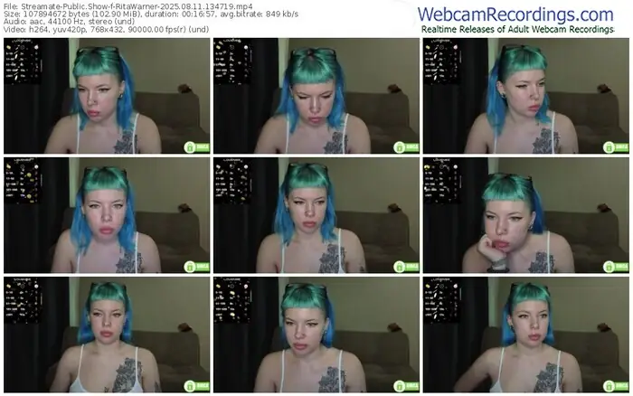 2025/08/11/streamate-ritawarner-13-47-19
