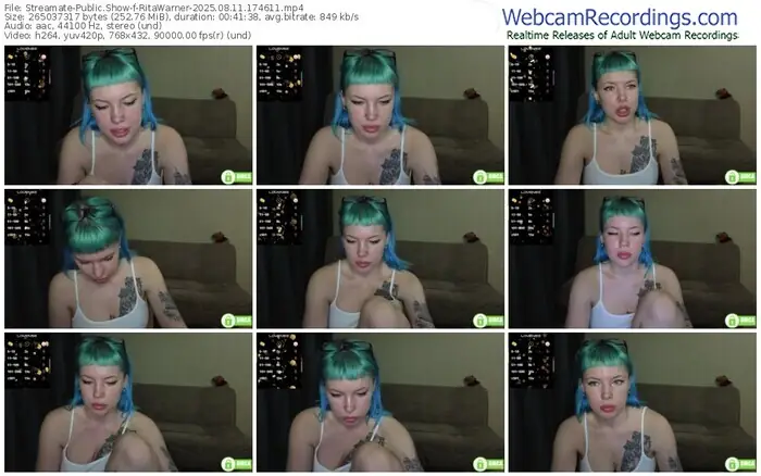 2025/08/11/streamate-ritawarner-17-46-11