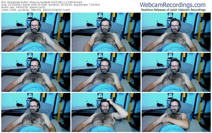 2025/08/11/streamate-furrball-13-44-18