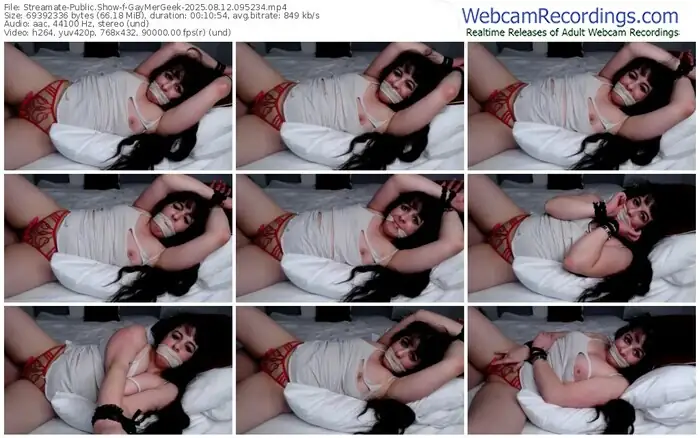 2025/08/12/streamate-gaymergeek-09-52-34