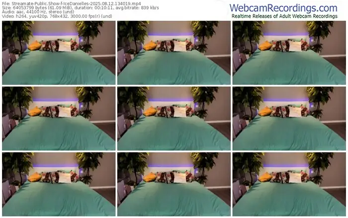 2025/08/12/streamate-icedanielles-13-40-19
