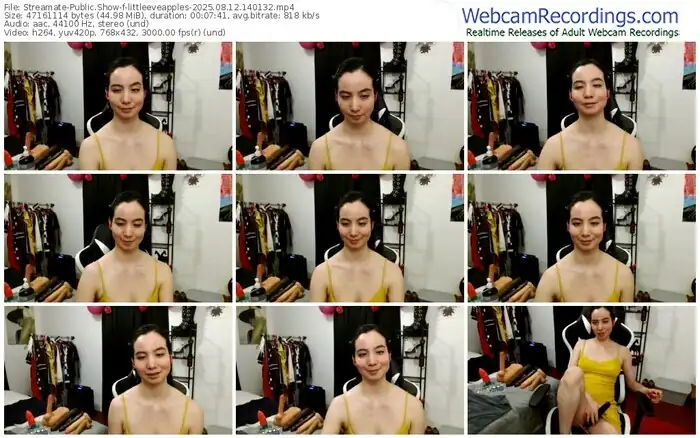 2025/08/12/streamate-littleeveapples-14-01-32