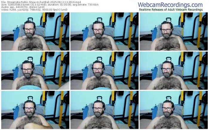2025/08/12/streamate-furrball-11-20-16