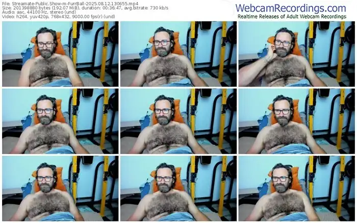 2025/08/12/streamate-furrball-13-06-55