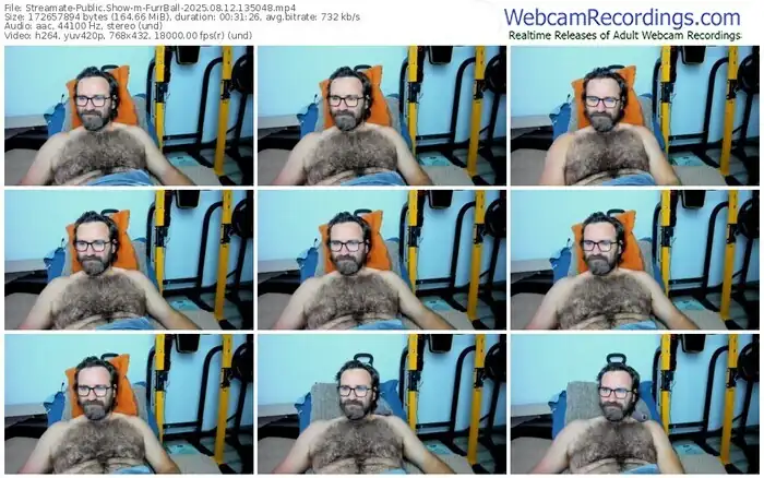 2025/08/12/streamate-furrball-13-50-48