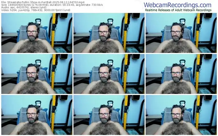 2025/08/12/streamate-furrball-16-47-02