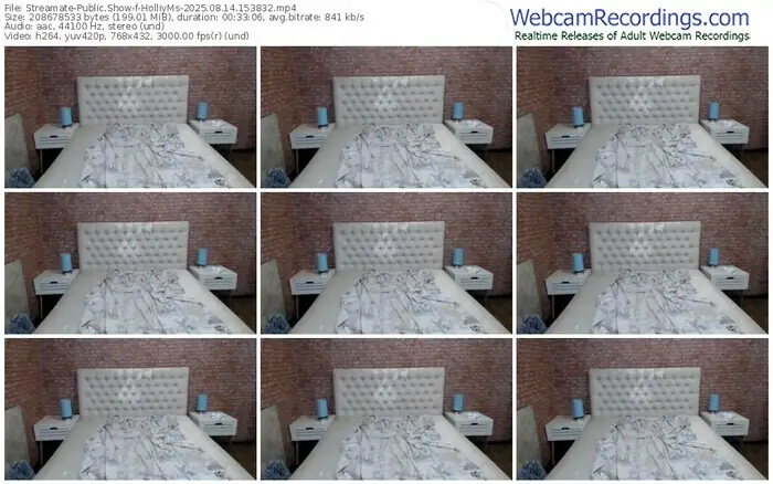 2025/08/14/streamate-holliyms-15-38-32