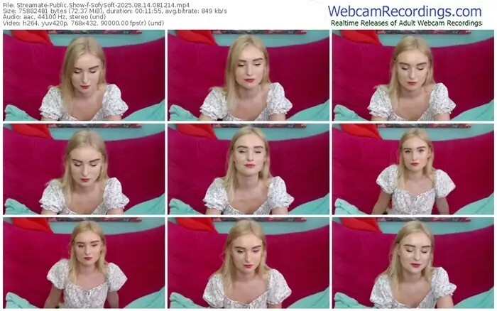 2025/08/14/streamate-sofysoft-08-12-14