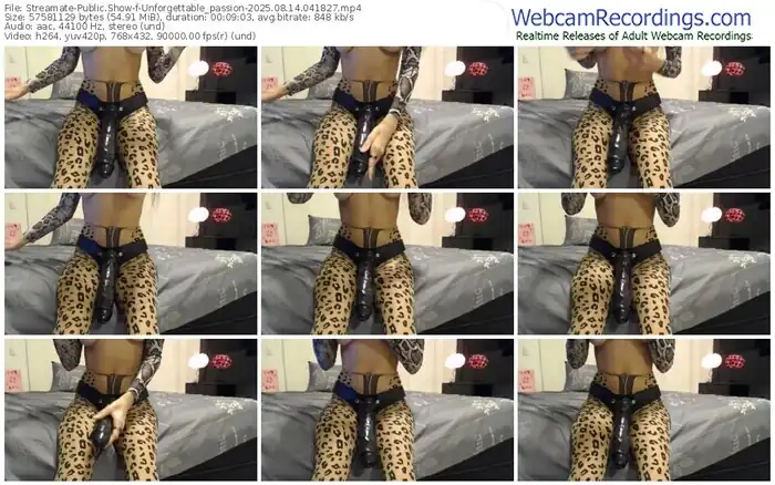 2025/08/14/streamate-unforgettable_passion-04-18-27
