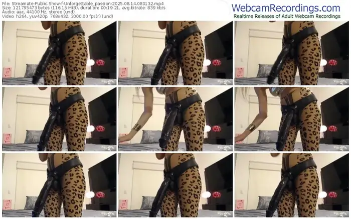 2025/08/14/streamate-unforgettable_passion-08-01-32