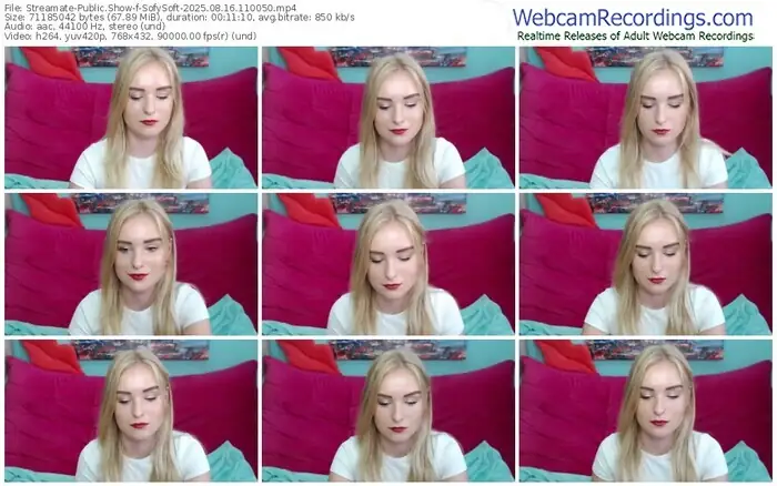 2025/08/16/streamate-sofysoft-11-00-50