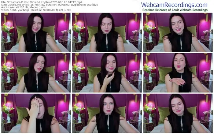 2025/08/17/streamate-lizzybex-17-47-12