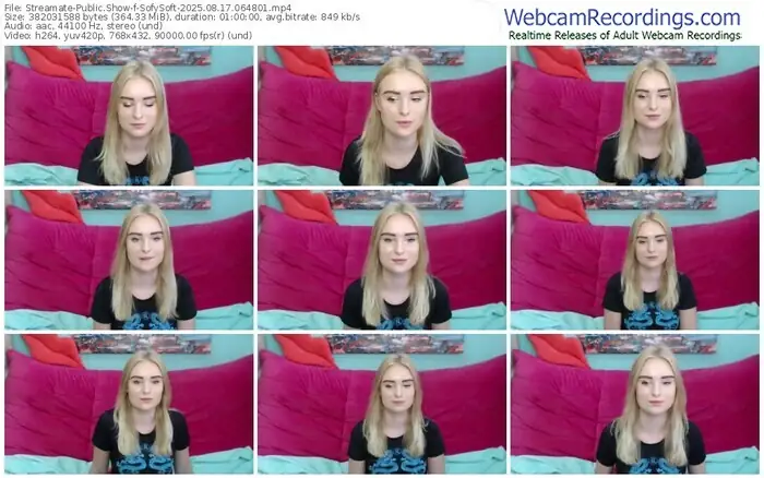 2025/08/17/streamate-sofysoft-06-48-01