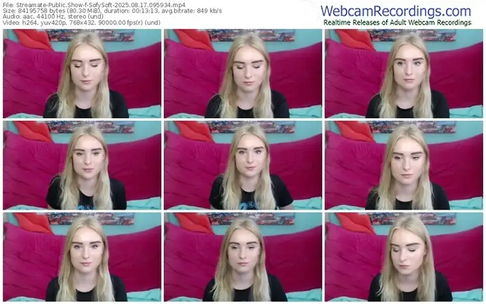 2025/08/17/streamate-sofysoft-09-59-34