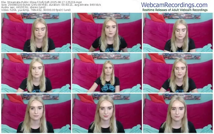 2025/08/17/streamate-sofysoft-12-52-19