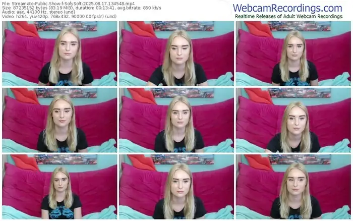 2025/08/17/streamate-sofysoft-13-45-48