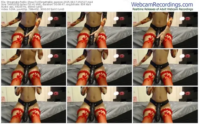 2025/08/17/streamate-unforgettable_passion-05-15-27