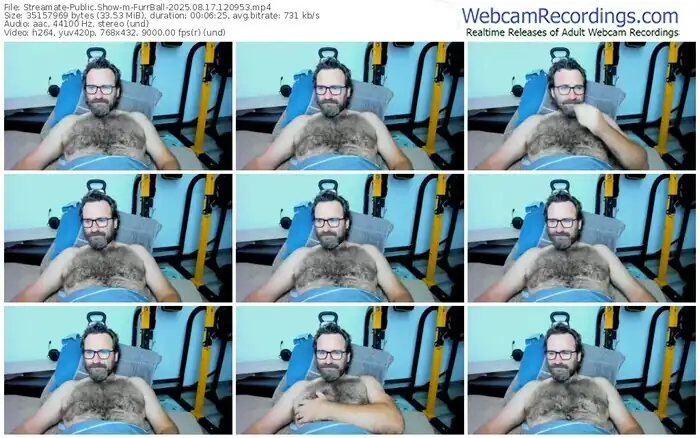 2025/08/17/streamate-furrball-12-09-53
