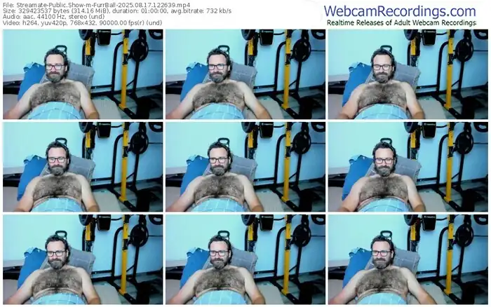 2025/08/17/streamate-furrball-12-26-39