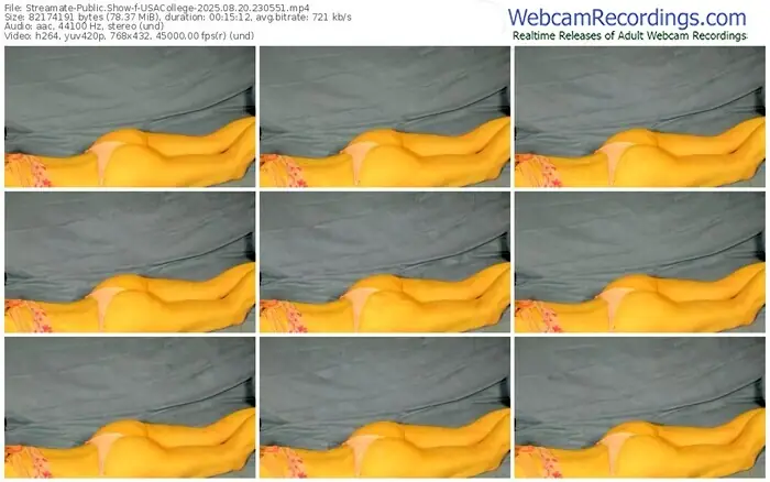 2025/08/20/streamate-usacollege-23-05-51