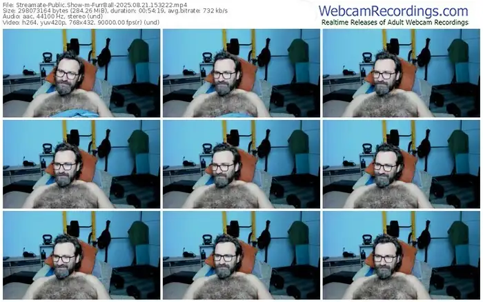 2025/08/21/streamate-furrball-15-32-22