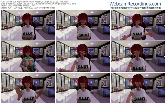 2025/08/22/streamate-evieakashiya-19-17-48