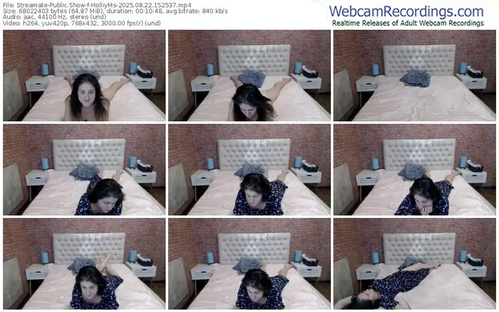 2025/08/22/streamate-holliyms-15-25-37