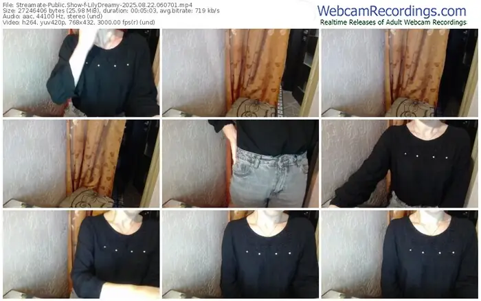2025/08/22/streamate-lilydreamy-06-07-01