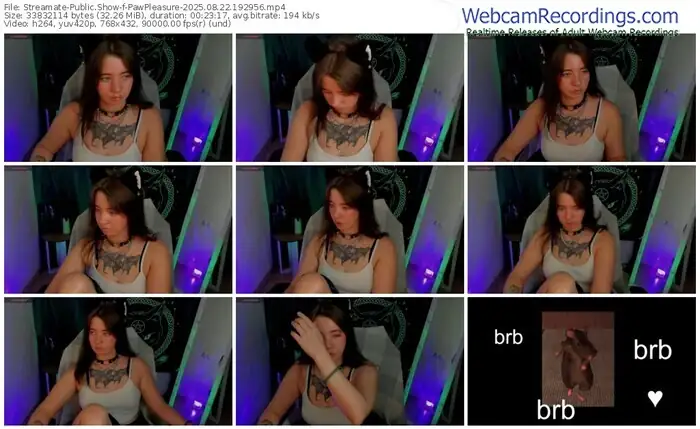 2025/08/22/streamate-pawpleasure-19-29-56