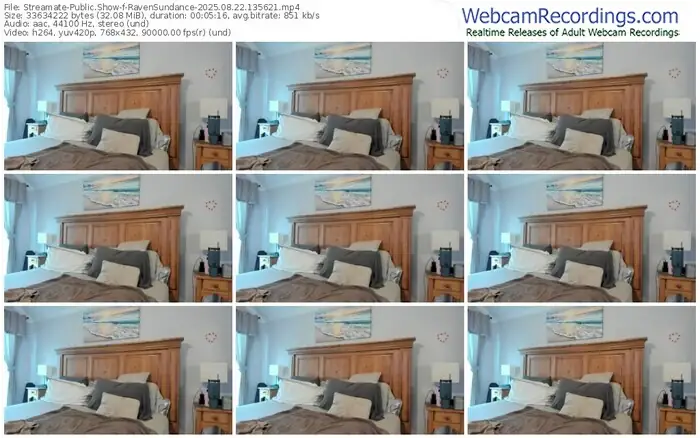 2025/08/22/streamate-ravensundance-13-56-21