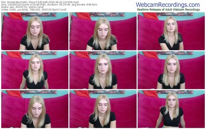 2025/08/22/streamate-sofysoft-10-19-59