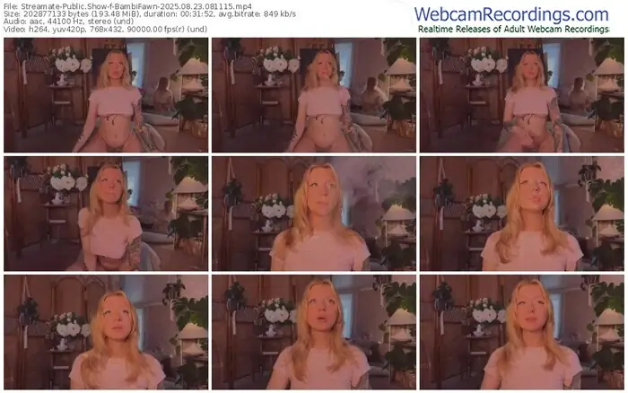 2025/08/23/streamate-bambifawn-08-11-15