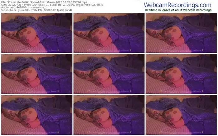 2025/08/23/streamate-bambifawn-19-57-10