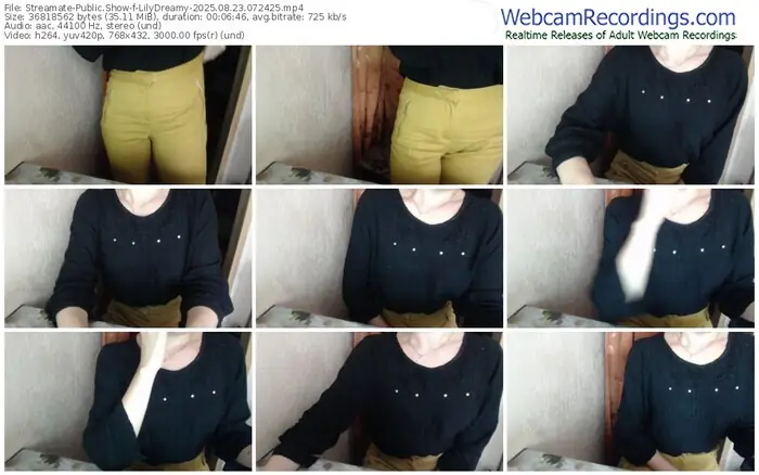 2025/08/23/streamate-lilydreamy-07-24-25