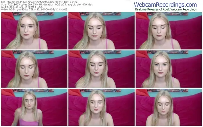 2025/08/23/streamate-sofysoft-11-03-17