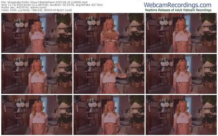 2025/08/24/streamate-bambifawn-10-48-56
