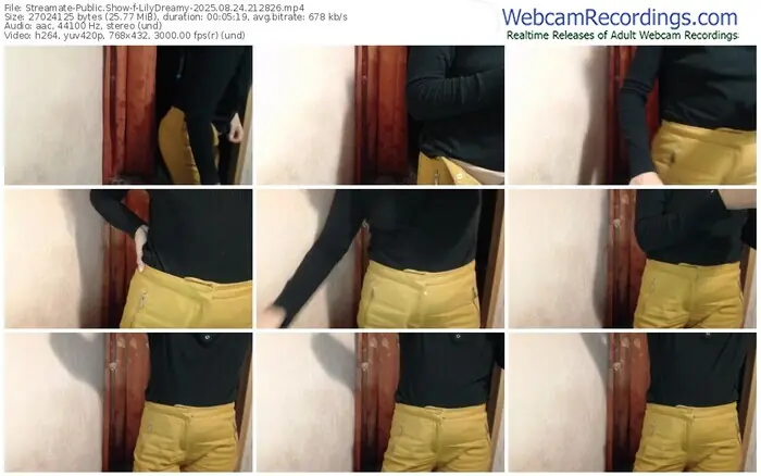 2025/08/24/streamate-lilydreamy-21-28-26