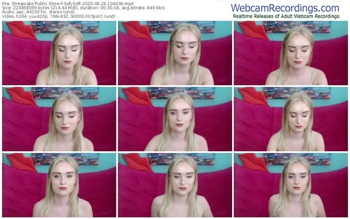 2025/08/24/streamate-sofysoft-10-49-36