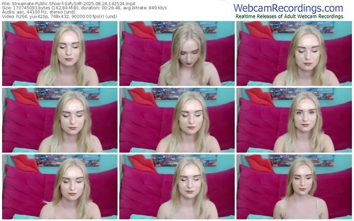 2025/08/24/streamate-sofysoft-14-25-24