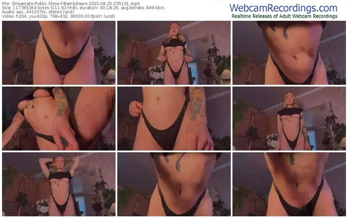 2025/08/25/streamate-bambifawn-03-51-01
