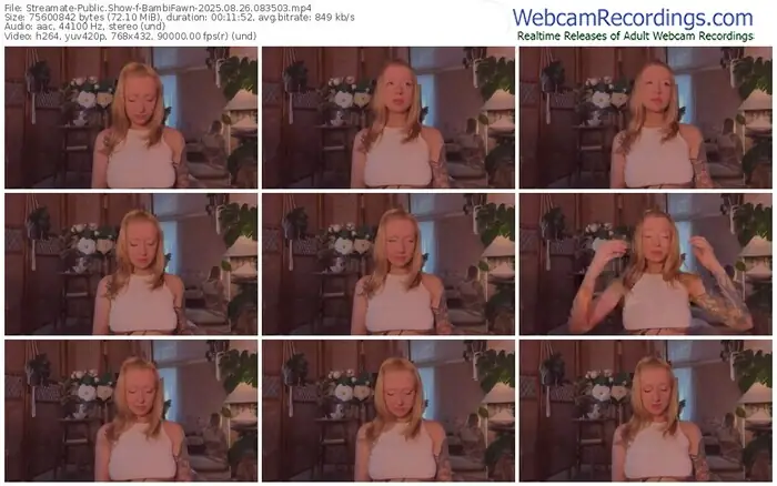 2025/08/26/streamate-bambifawn-08-35-03