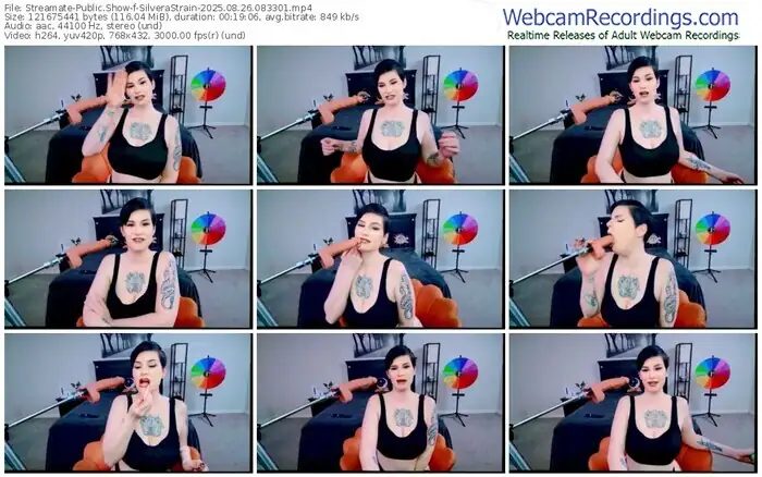2025/08/26/streamate-silverastrain-08-33-01